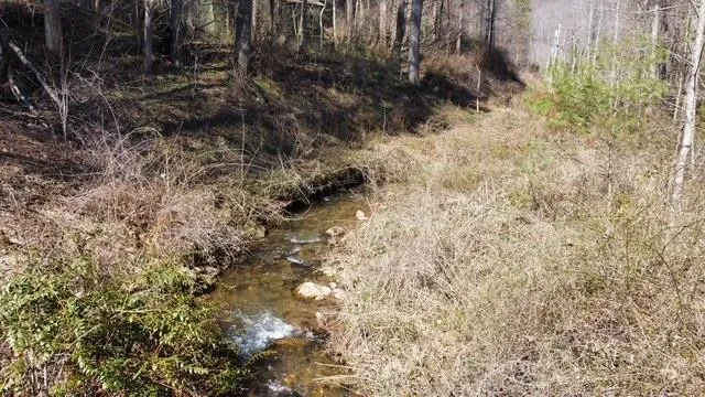 Property in Jackson