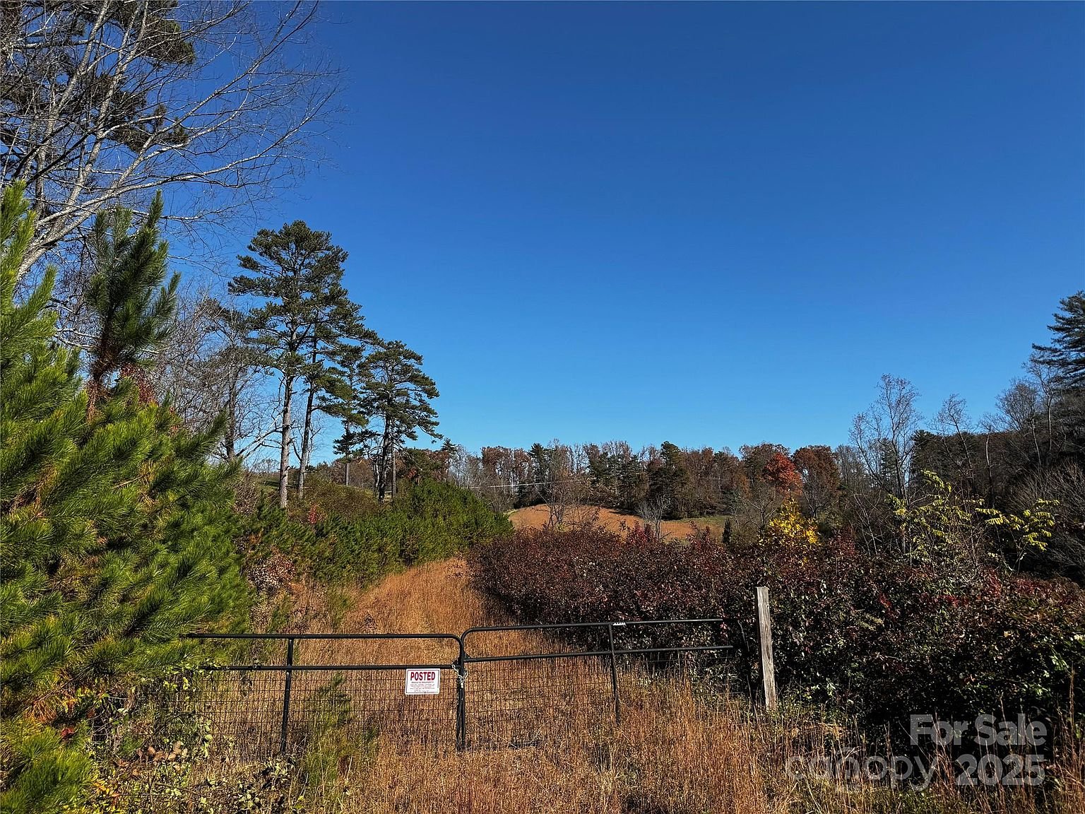 Property in Buncombe
