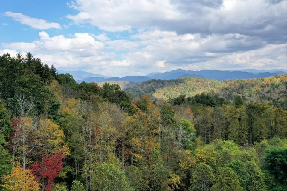 Property in Jackson