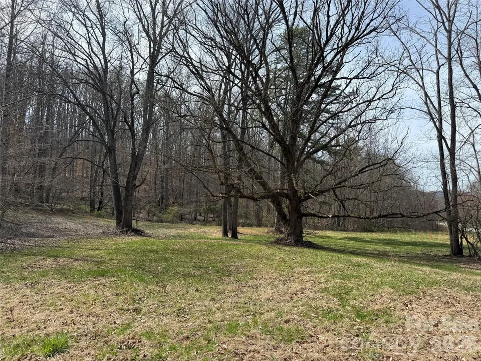 Property in Buncombe