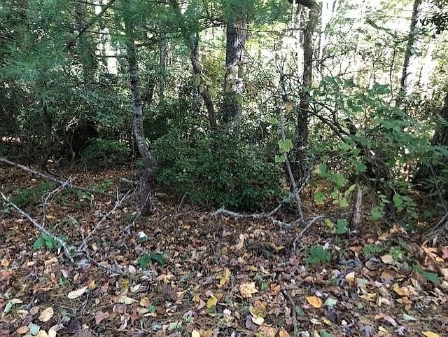 Property in Mitchell