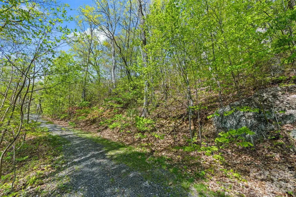 Property in Buncombe