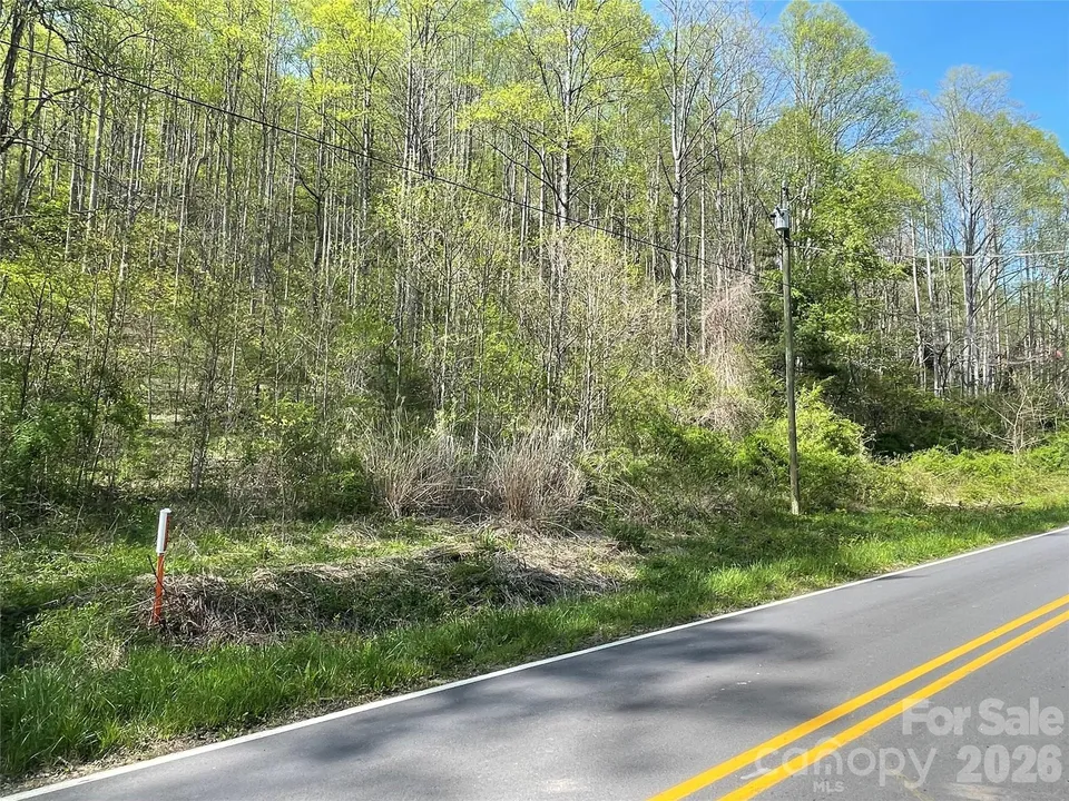 Property in Buncombe