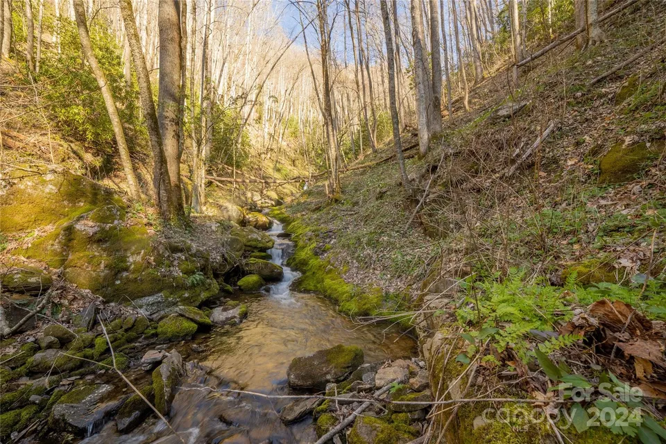 Property in Jackson