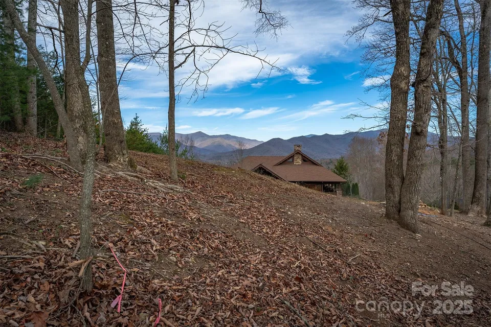 Property in Buncombe