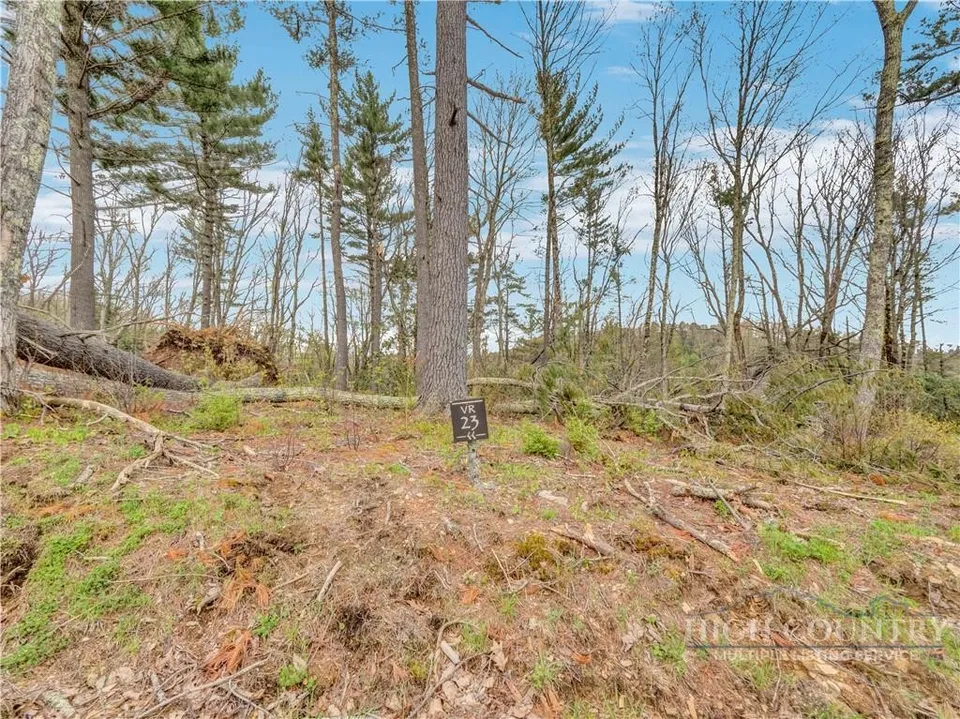 Property in Avery