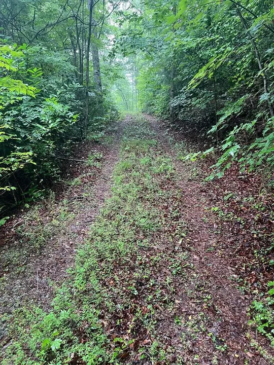 Property in Macon