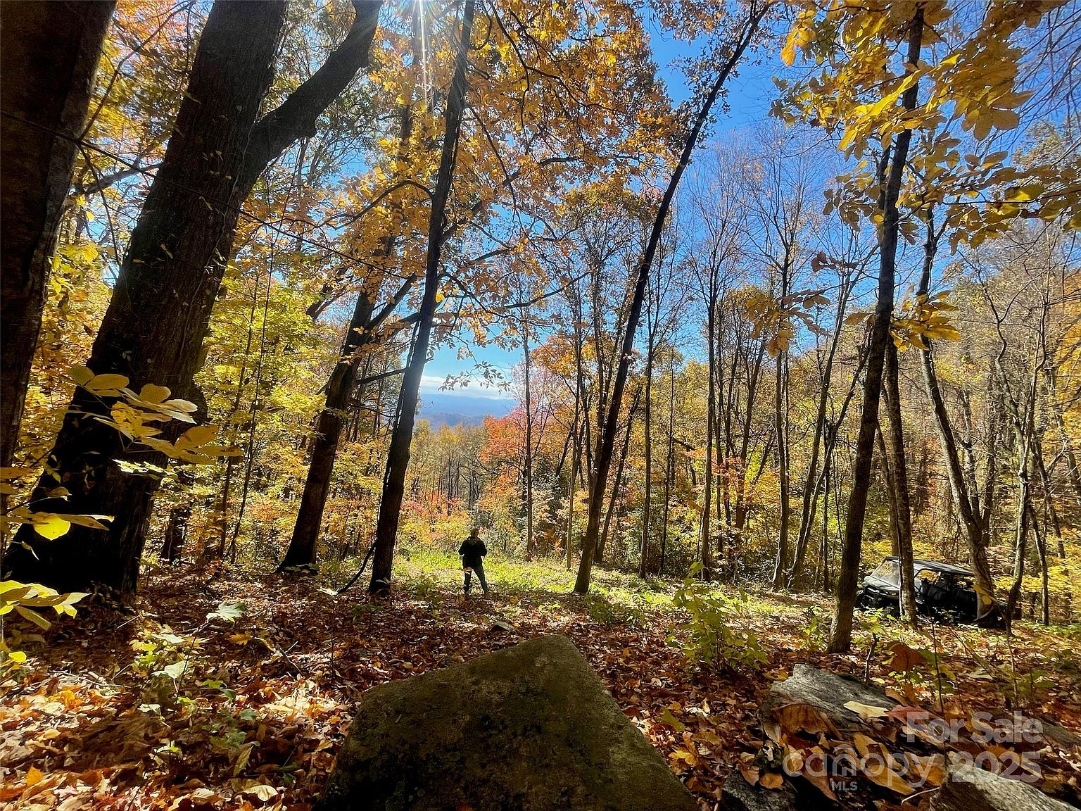 Property in Henderson