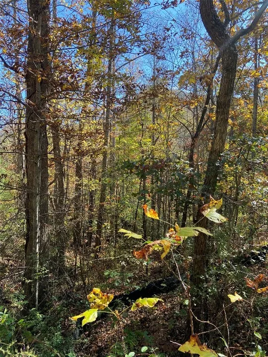 Property in Jackson County