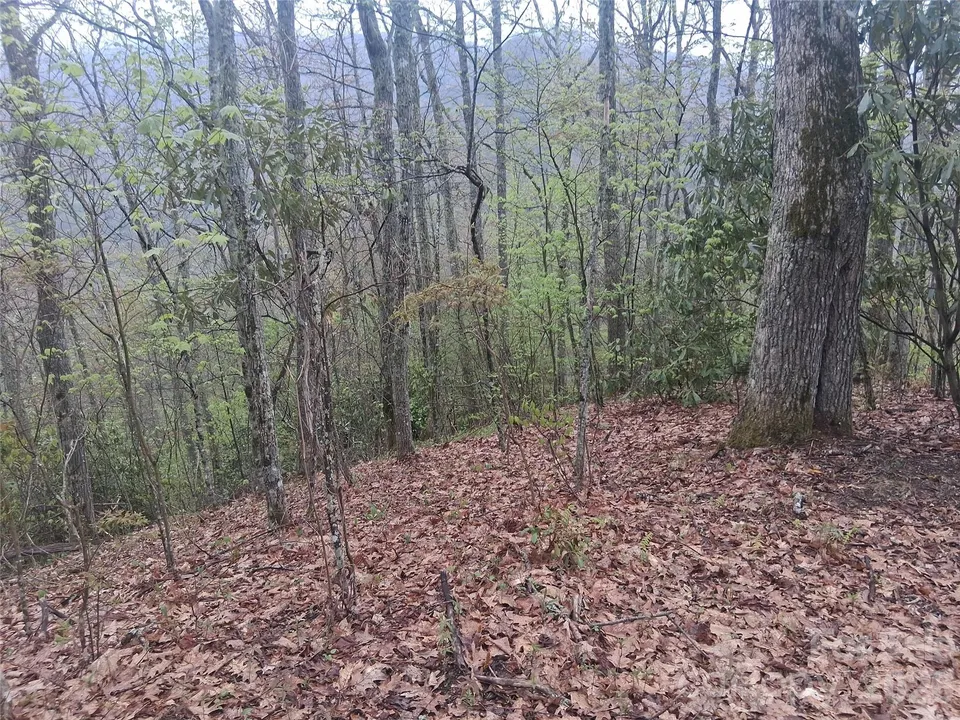 Property in Haywood