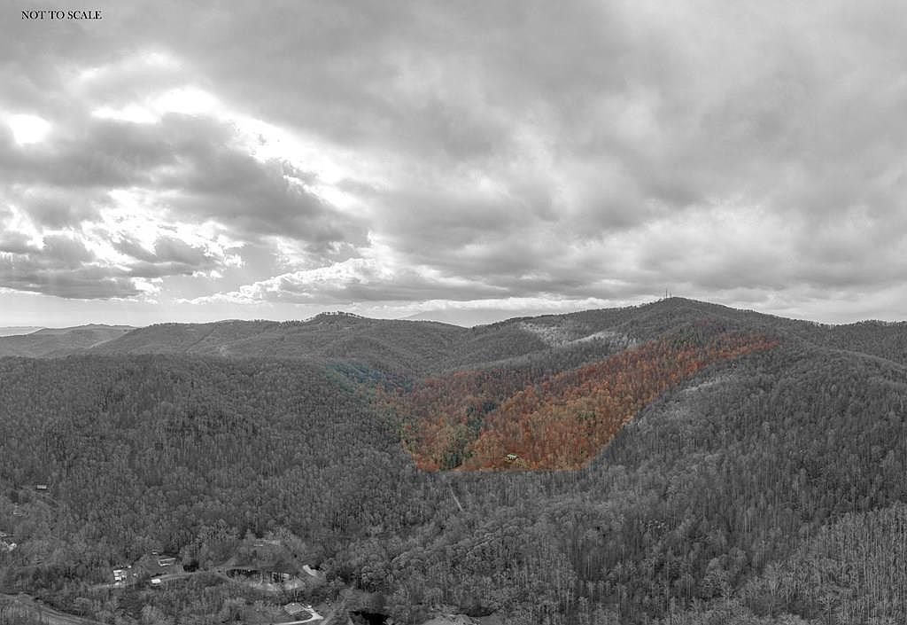 Property in Mitchell