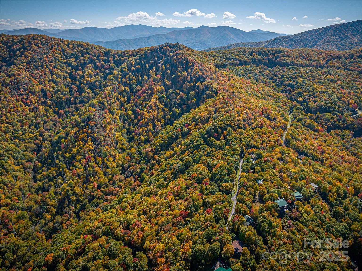 Property in Haywood