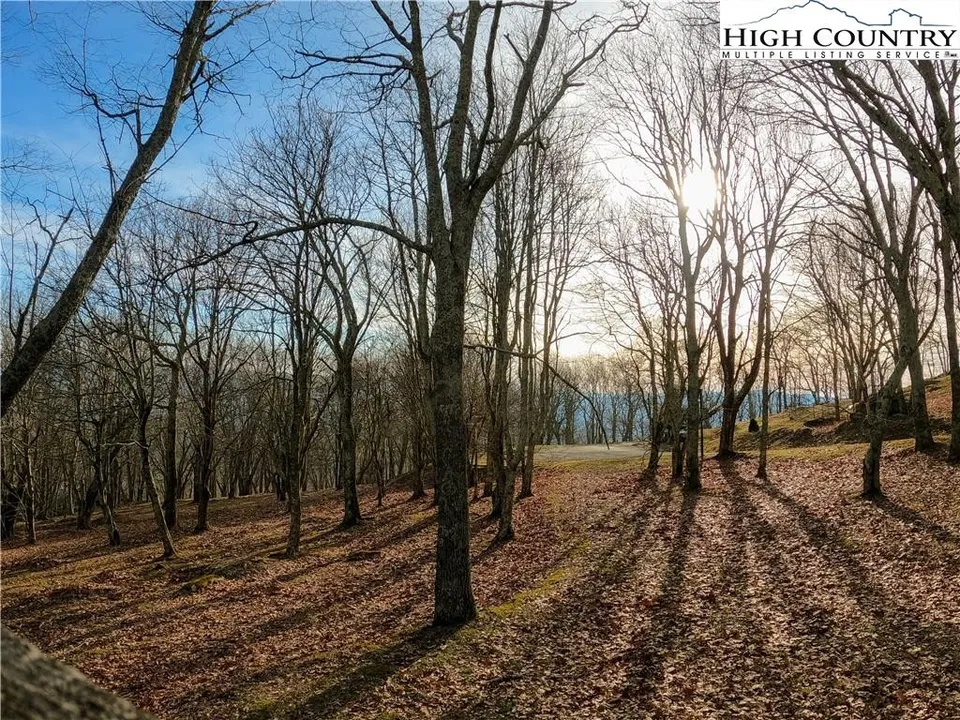 Property in Watauga