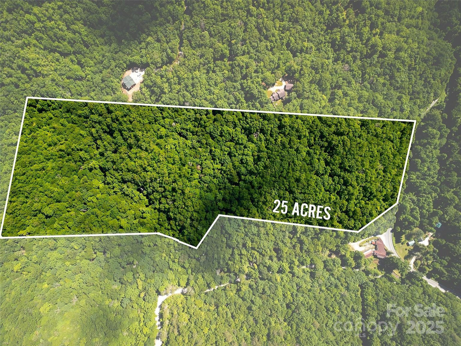 Property in Transylvania