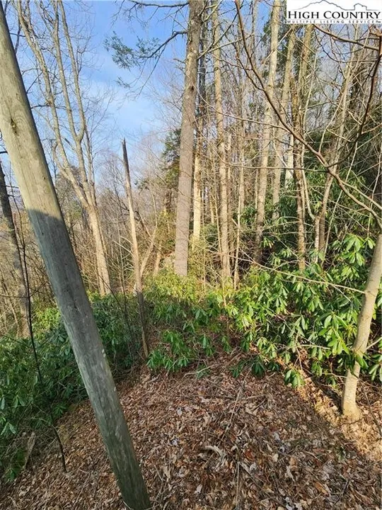 Property in Watauga