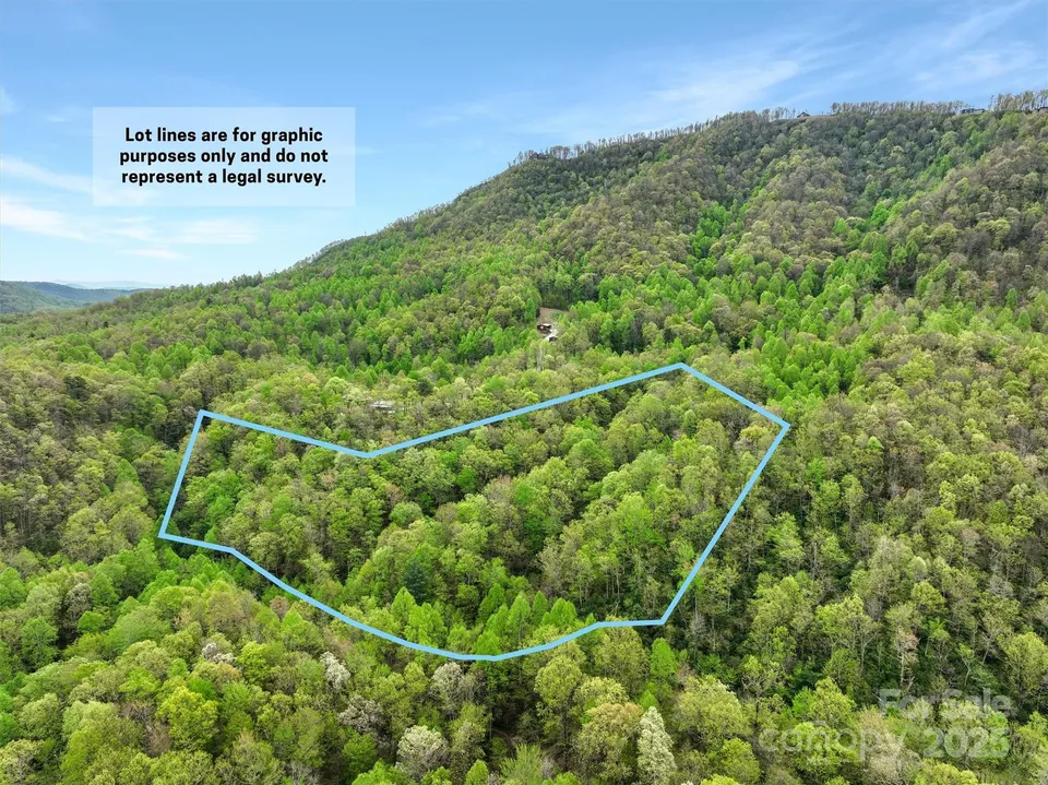 Property in Buncombe