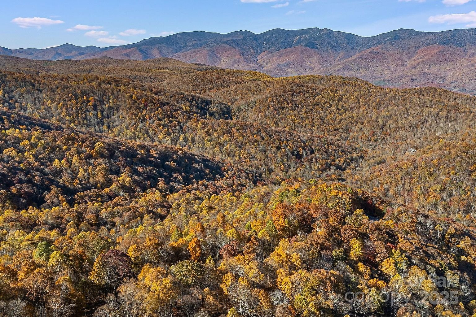 Property in Mitchell