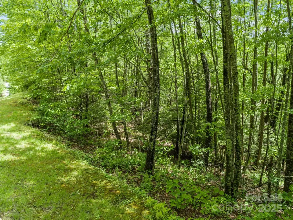 Property in Yancey