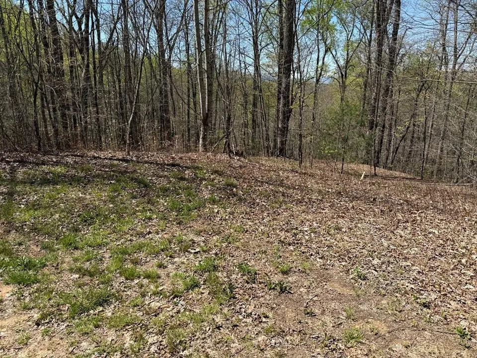 Property in Macon