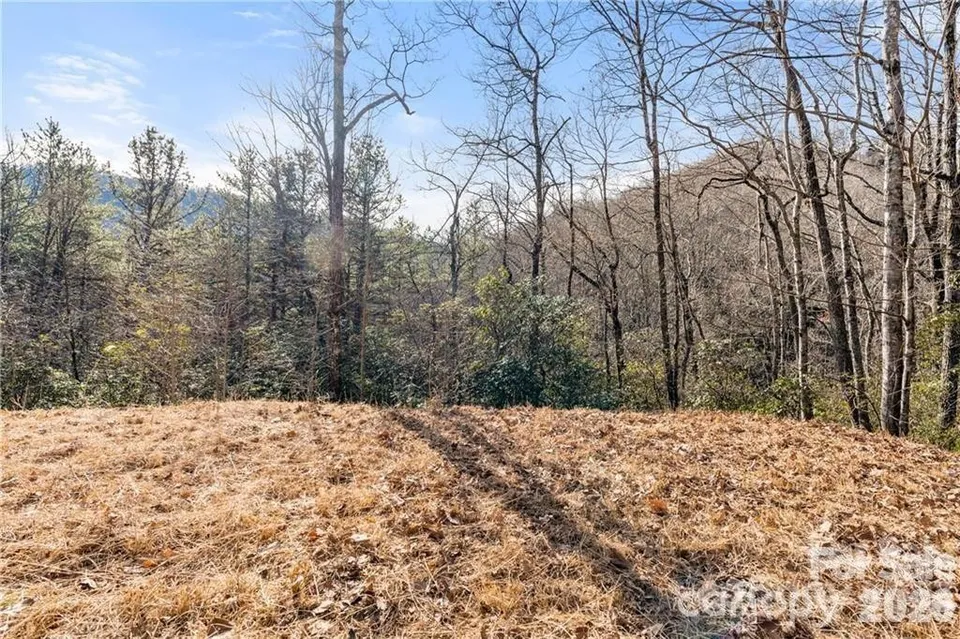 Property in Buncombe